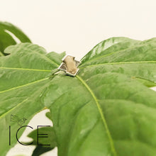 Jinn Ring