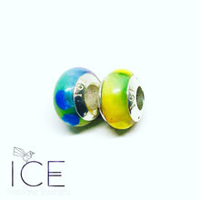 .Standard European Charm Bead.